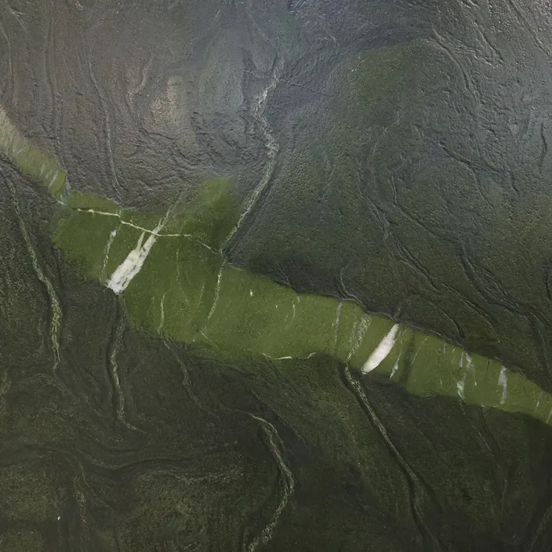 Exotic Quartzites — photo 3