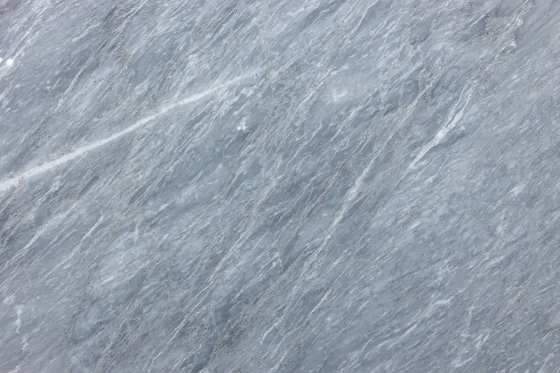 Grey Versace — photo 1