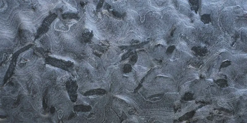 Matrix — photo 1