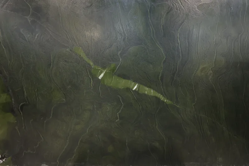 Exotic Quartzites — photo 4