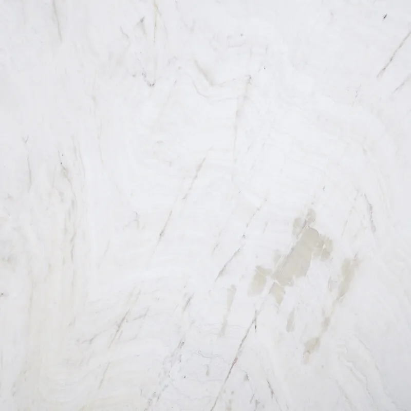 Spider Grey — photo 5
