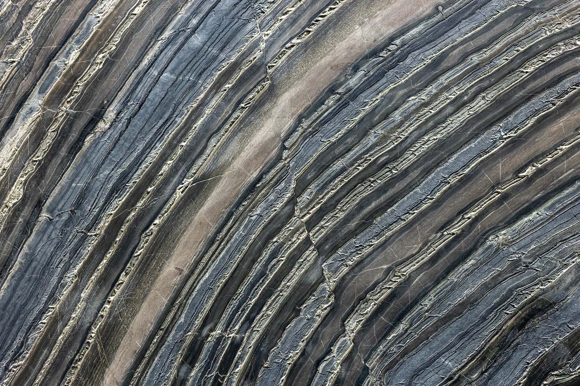 Black Waves Leather