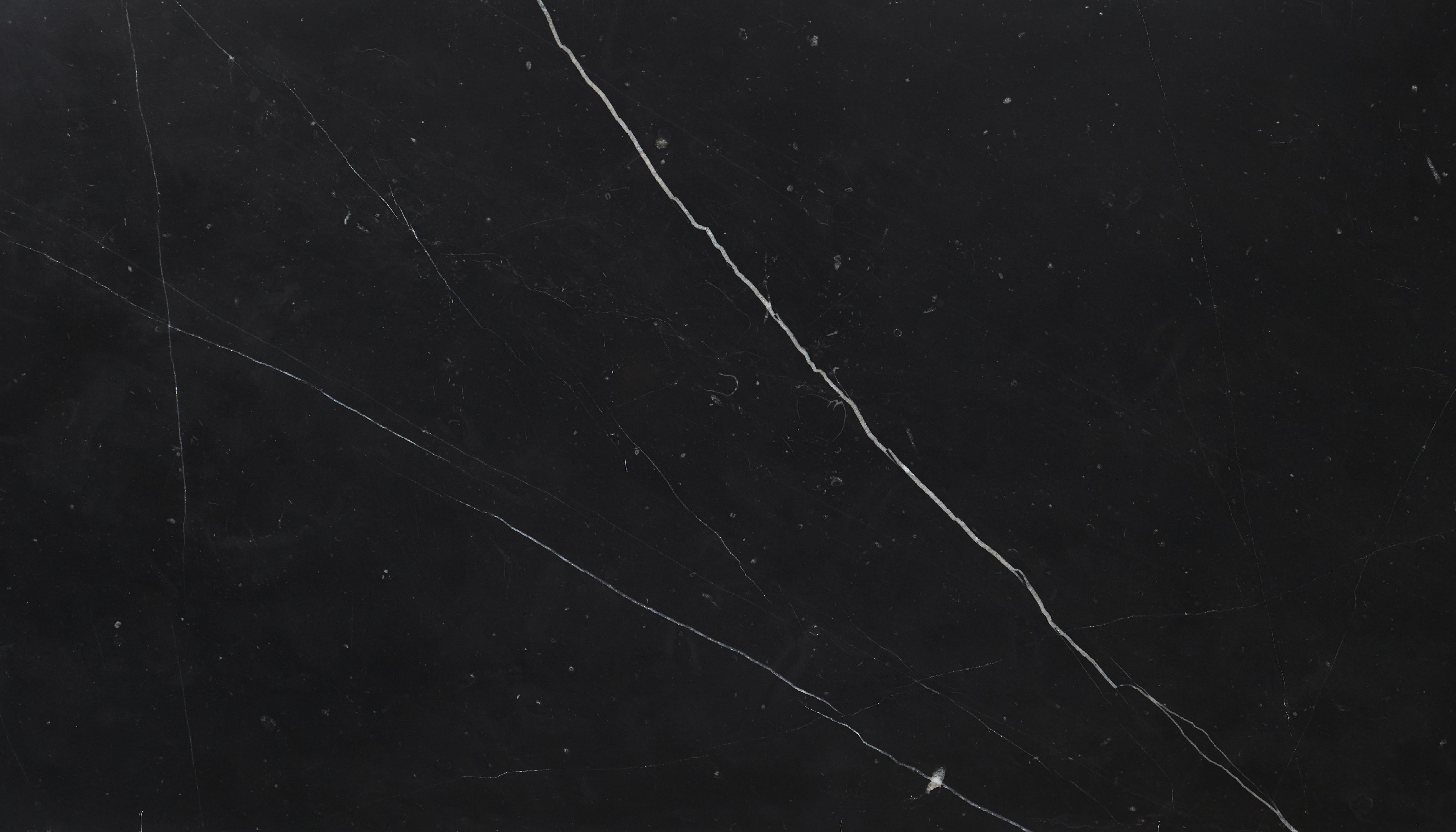 Black Marquina — photo 1