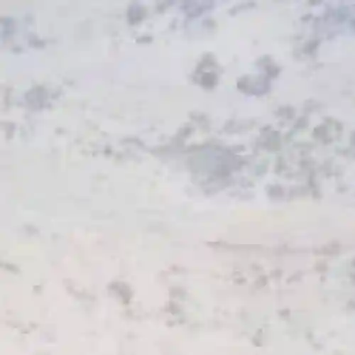 Bahama White Marble — photo 4