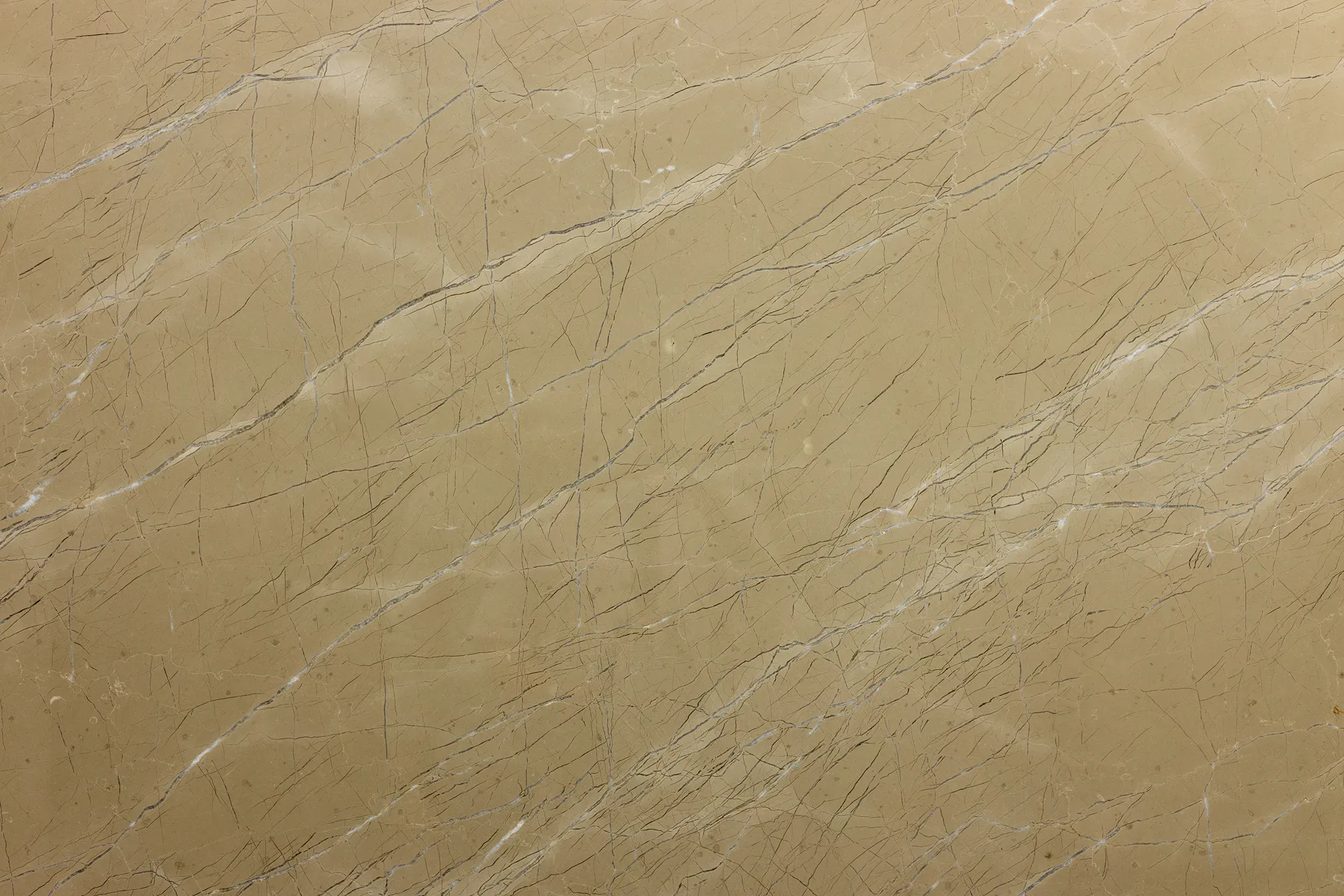 Federal Beige — photo 1