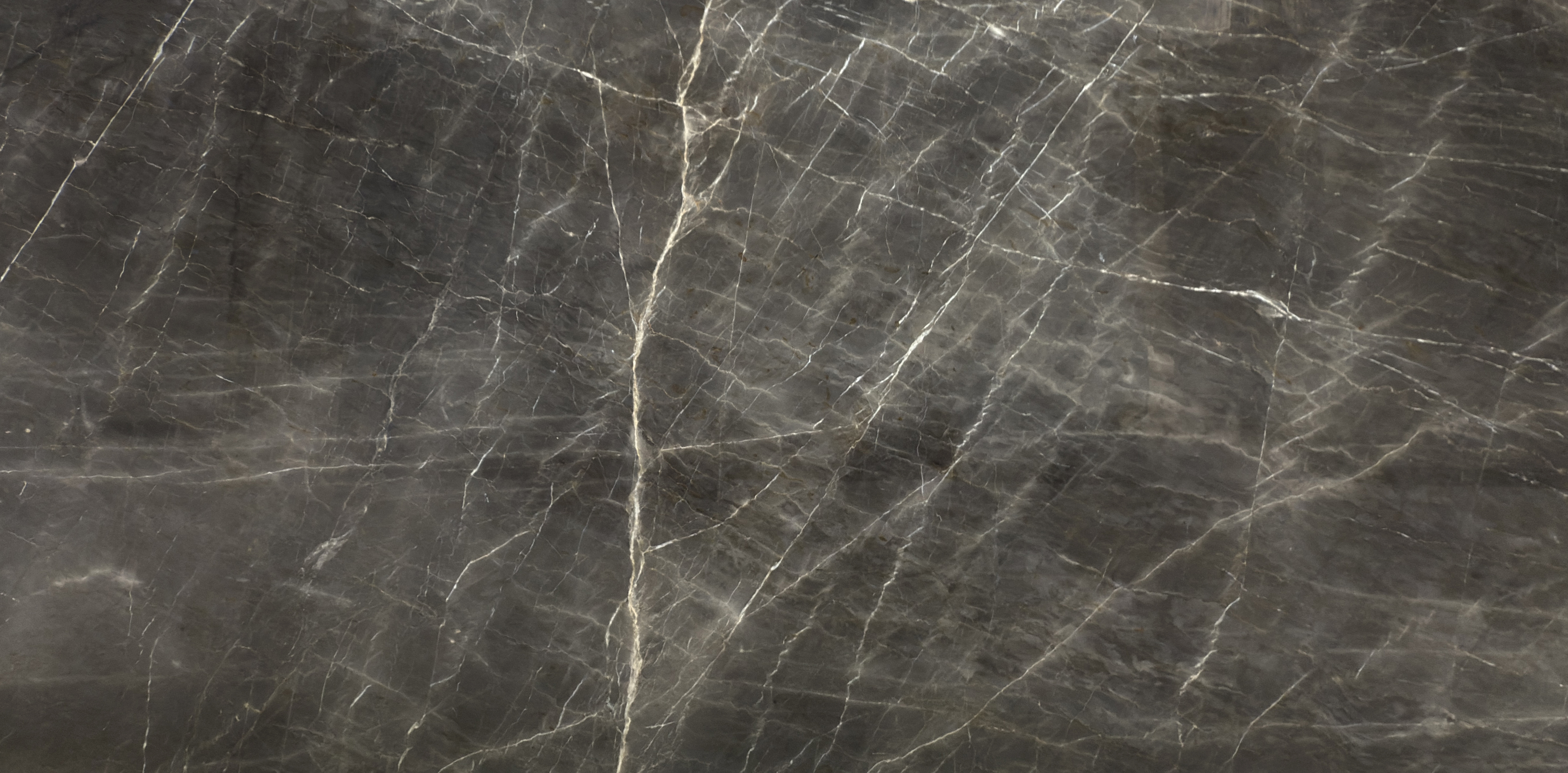 Emotion Grey — photo 1