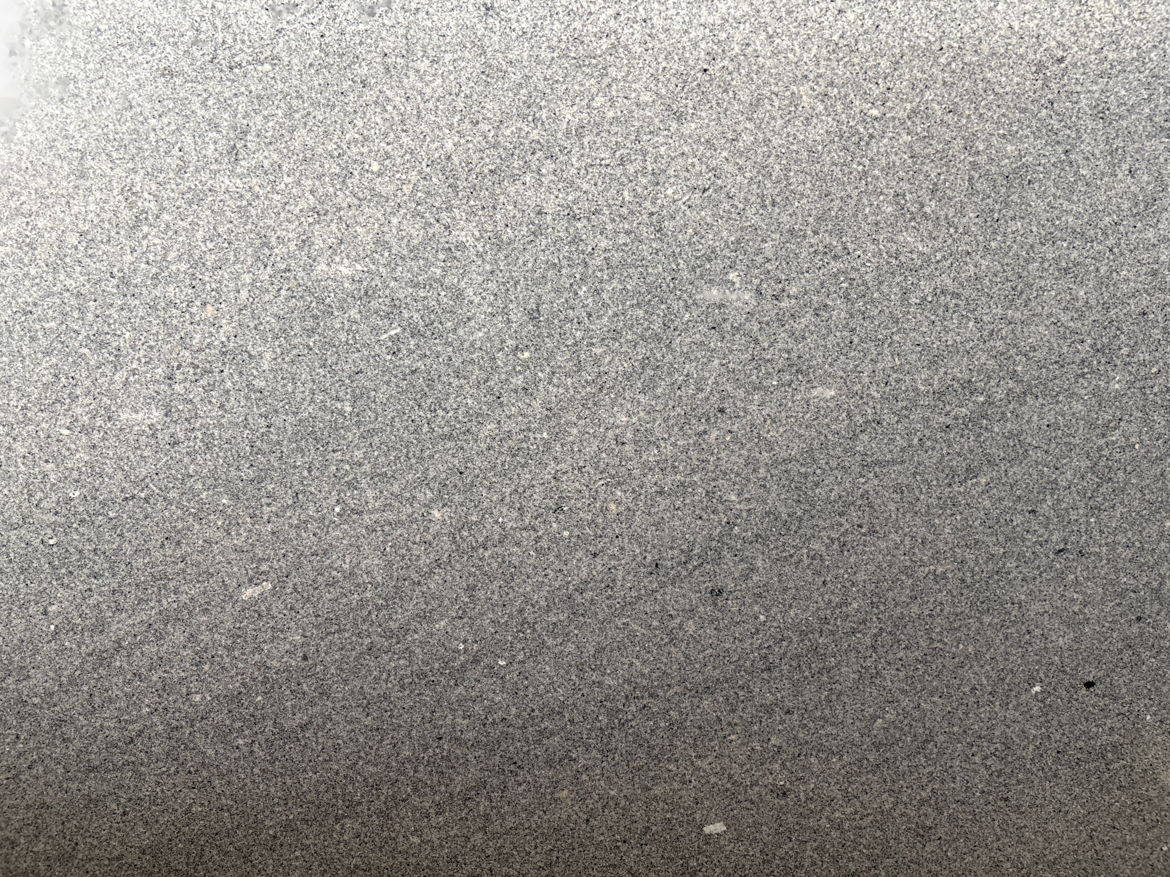Godhra Gray