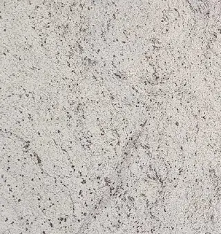Forest White