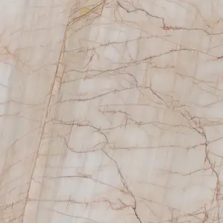 Golden Spider Marble