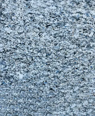 Koliwada White