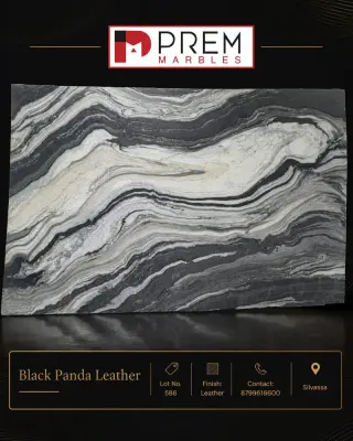 Black Panda
