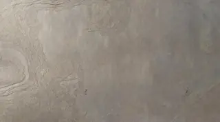 Slate - Woodroot