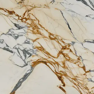 Paonazzo Marble