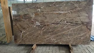Rainforest Brown