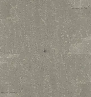 Kandla Grey Sandstone
