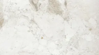 French Vanilla