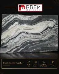 Black Panda
