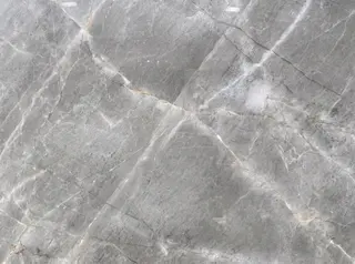 Fawn Grey