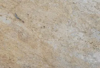 Colonial Gold Granite