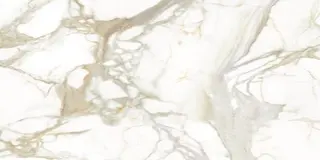 Staturio Calcatta Oro