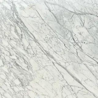 Statuario Venatino Marble