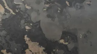Slate - Mother Earth