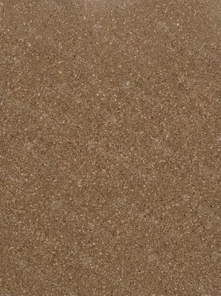 Kodiak Brown
