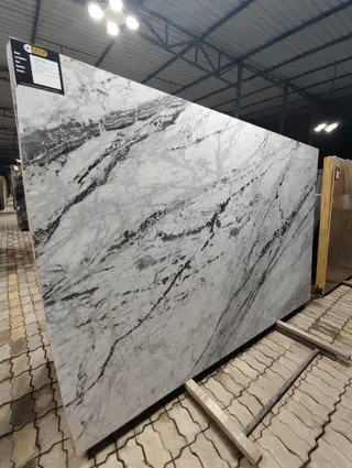 Forest White